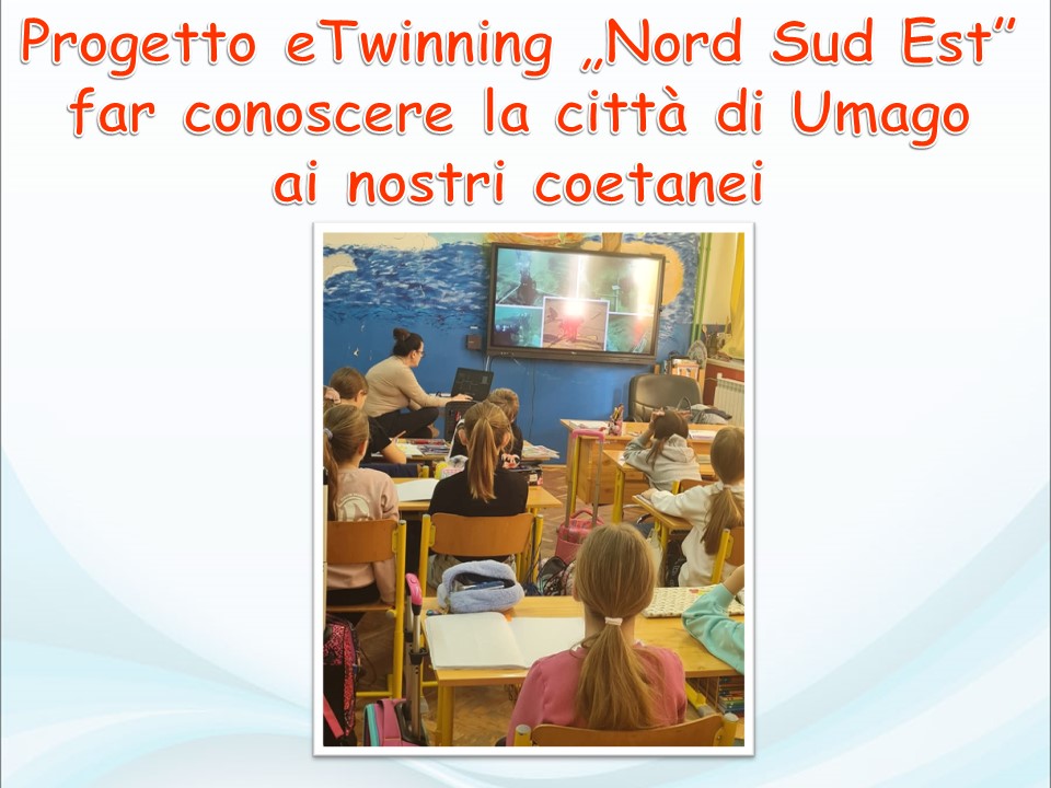 immagine (72)