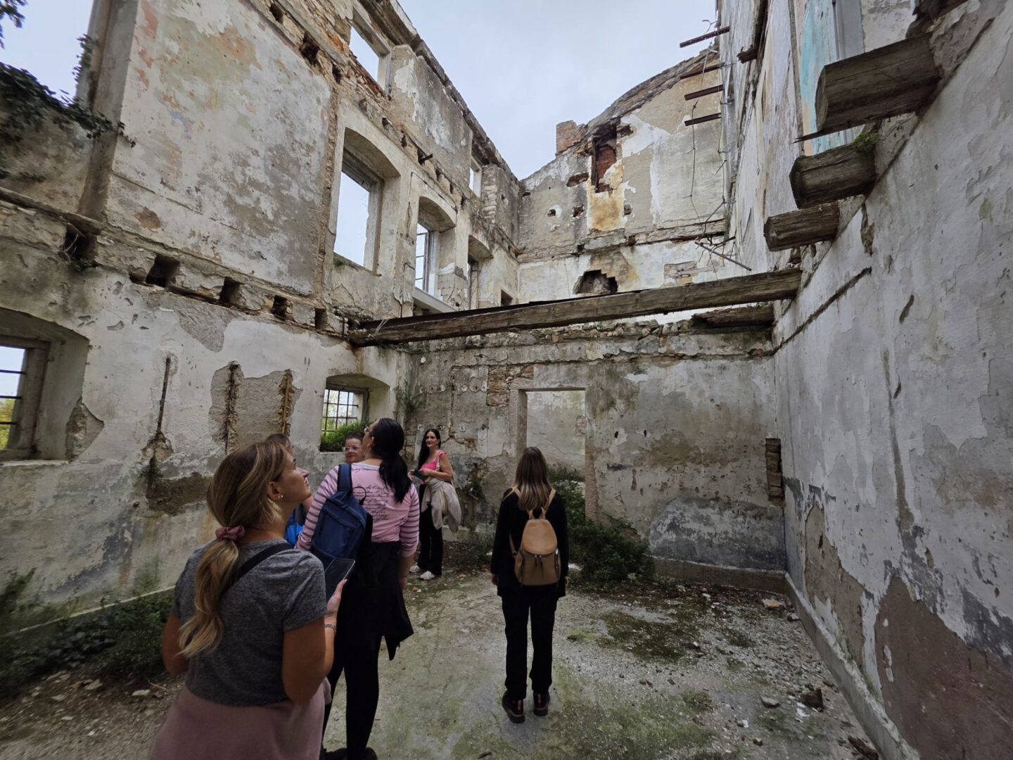 Immagine_Viber_2026-10-05_20-21-20-409