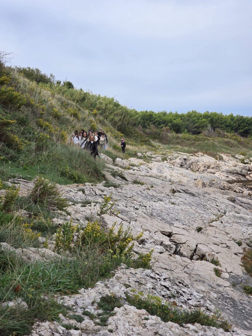 Immagine_Viber_2026-10-05_20-21-43-355
